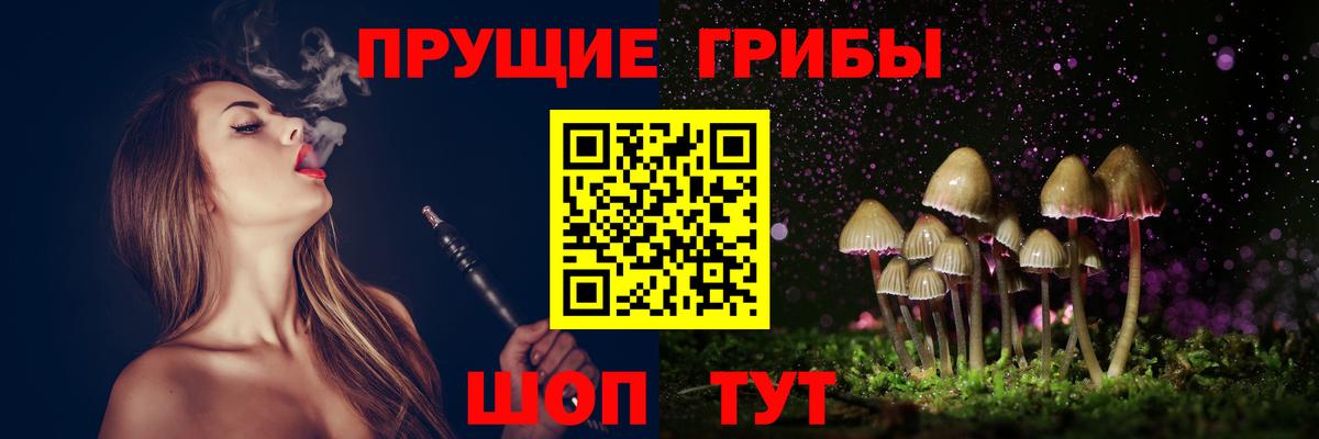 Галлюциногенные грибы прущие грибы  Вход с VPN  Новоалександровск 